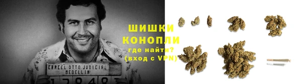ALPHA-PVP Богородицк