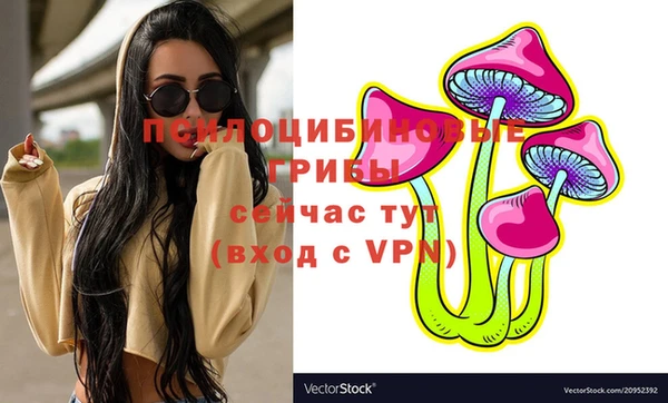 хмурый Богданович