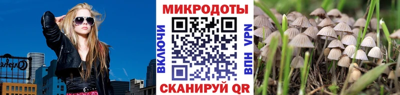 Галлюциногенные грибы прущие грибы  купить  цена  Колпашево 